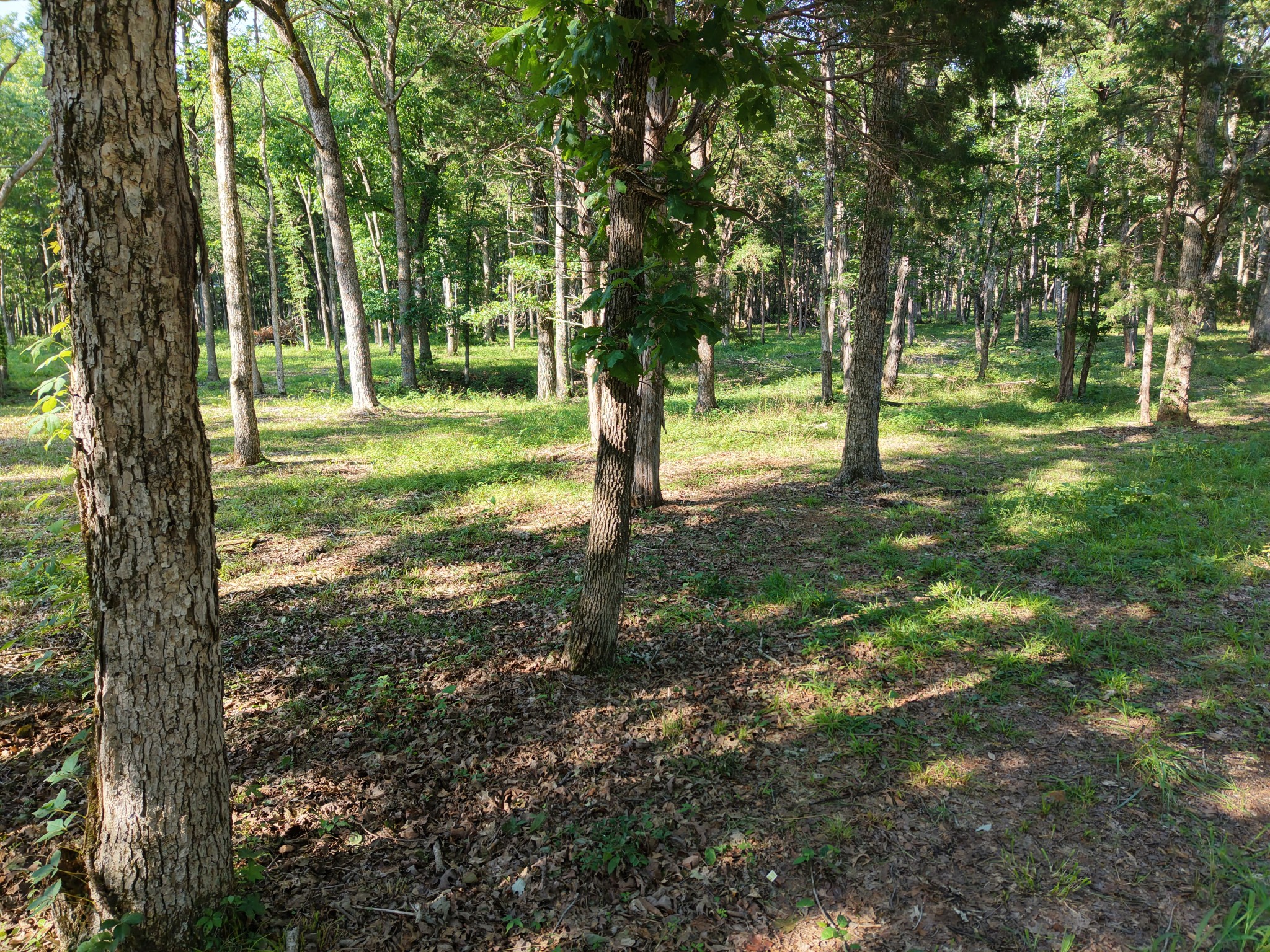 0 Millersburg Rd