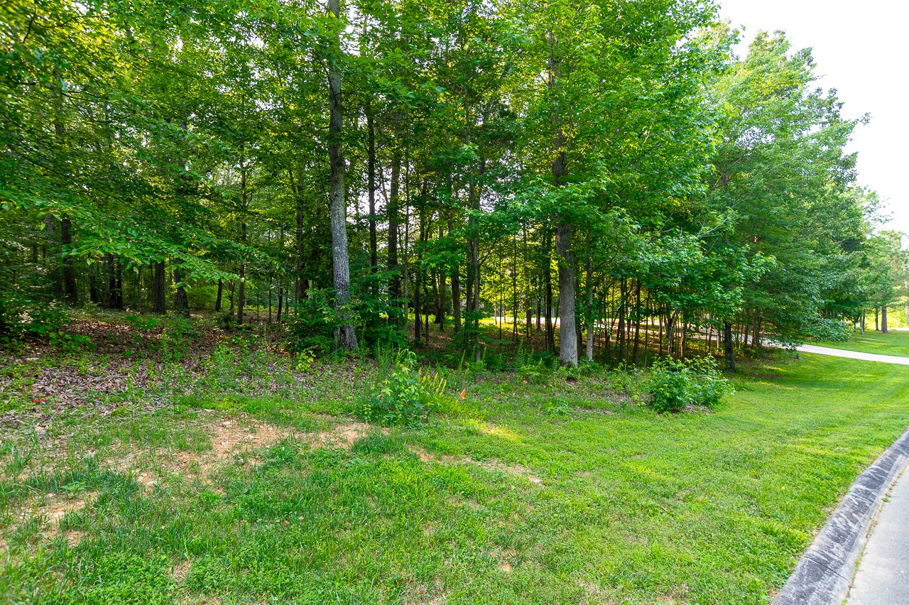 205 Nature Ridge Rd