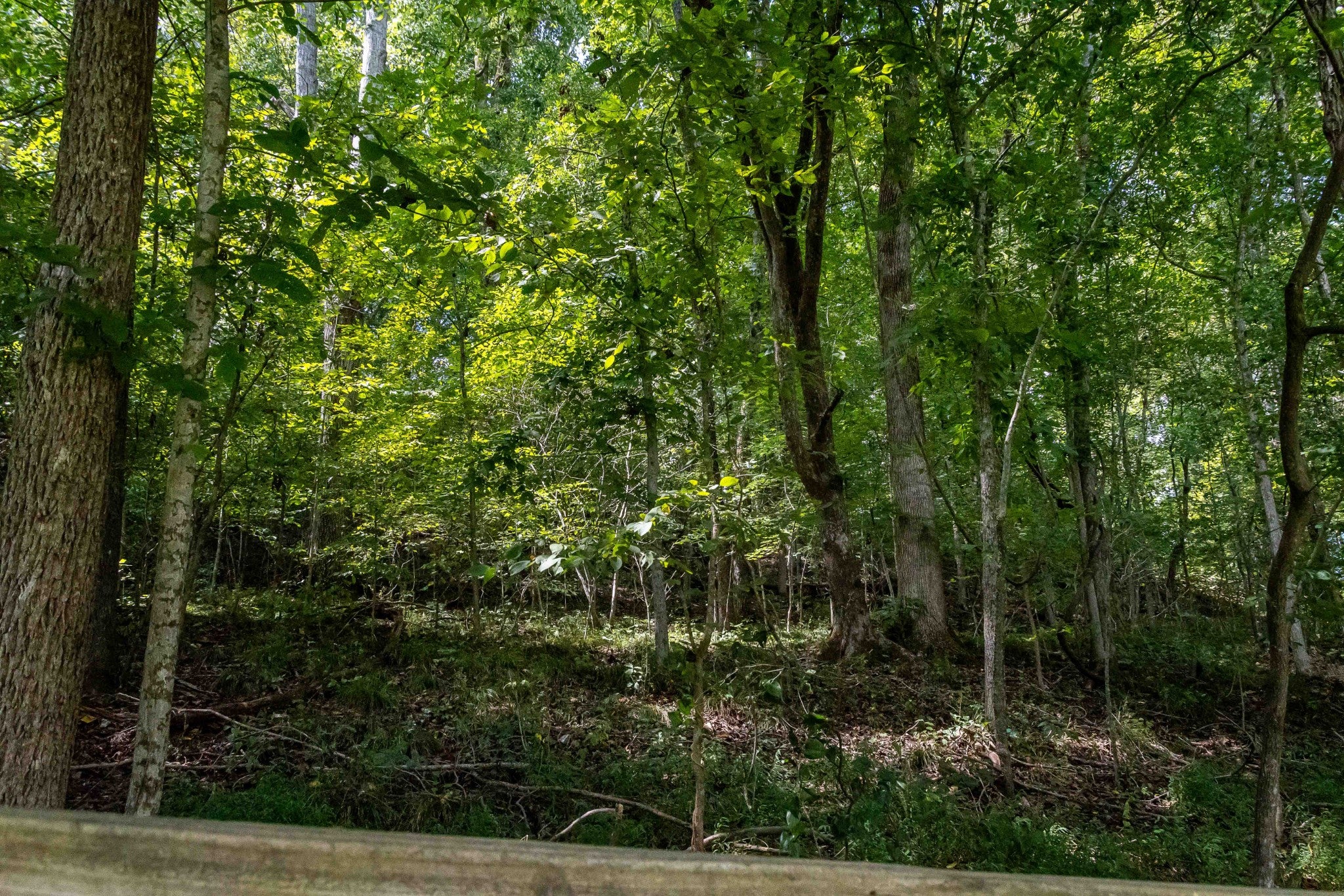 11644 Minor Hill Hwy