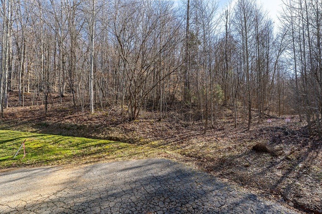 0 Plantation South Drive