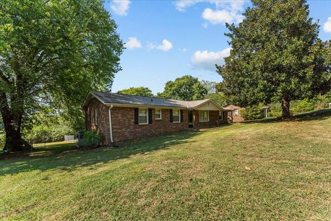 205 Bellview Dr Mount Pleasant TN 38474