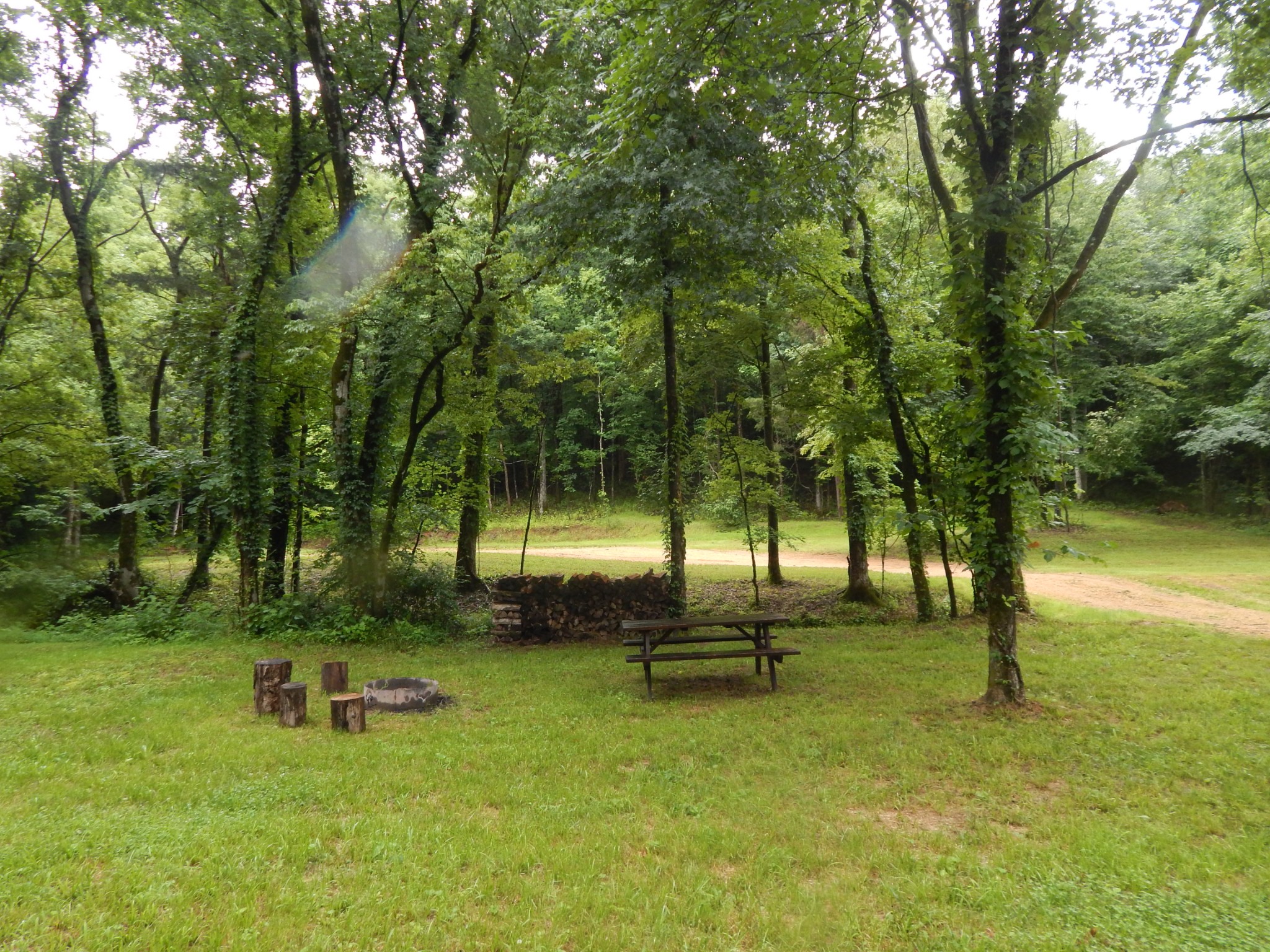 Middle Tennessee Properties 1 321 Ian Dr
