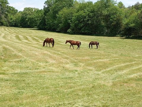 9786 Hartsville Pike Lebanon TN 37087