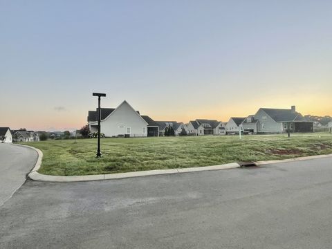 0 Turtle Court Winchester TN 37398