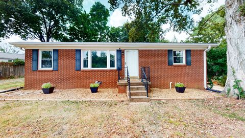 100 Pitt Ln Springfield TN 37172