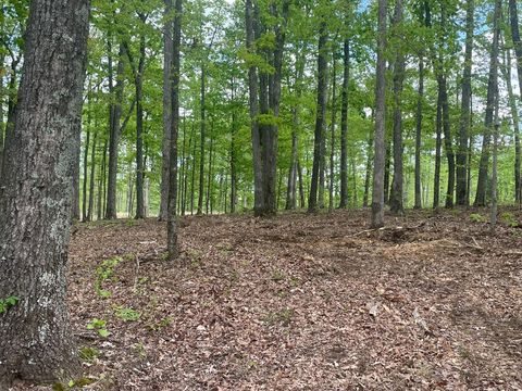 133 Shelton Cemetery Road Cumberland Furnace TN 37051