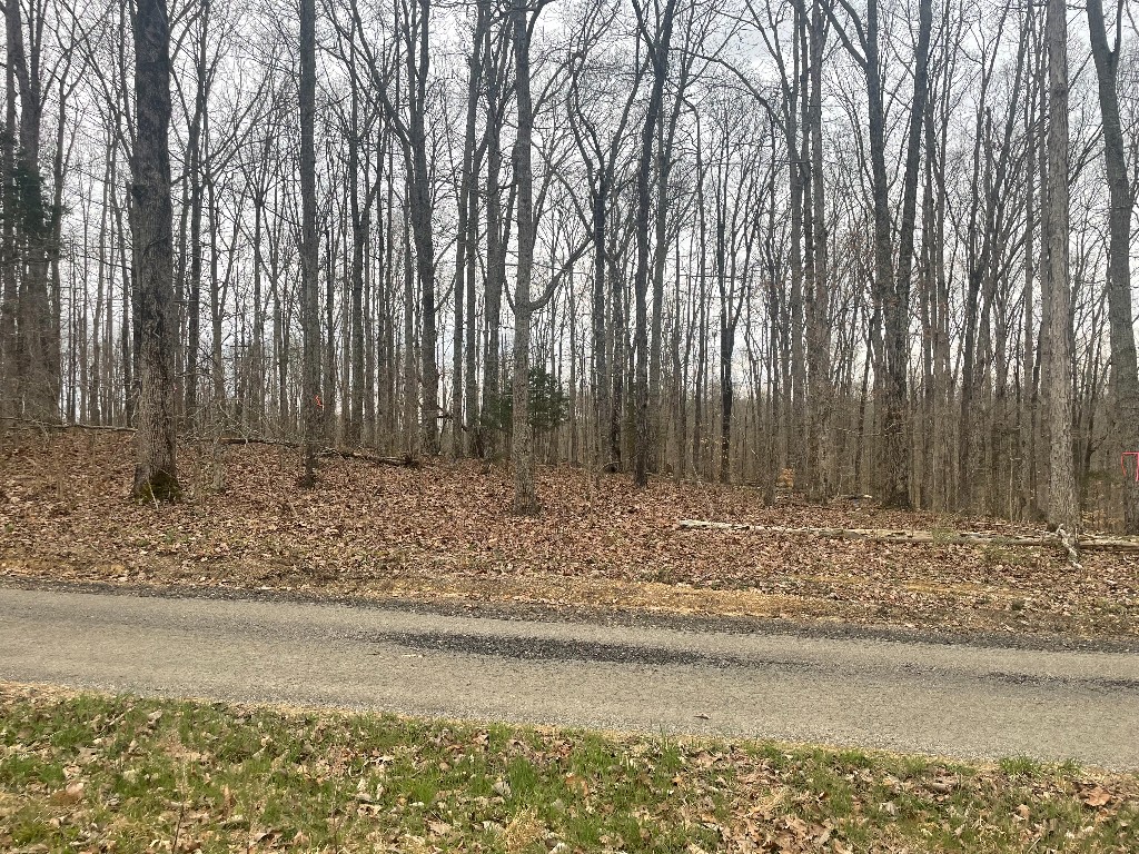 133 Shelton Cemetery Road