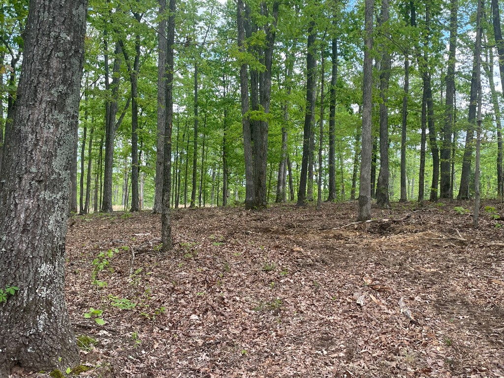 133 Shelton Cemetery Road