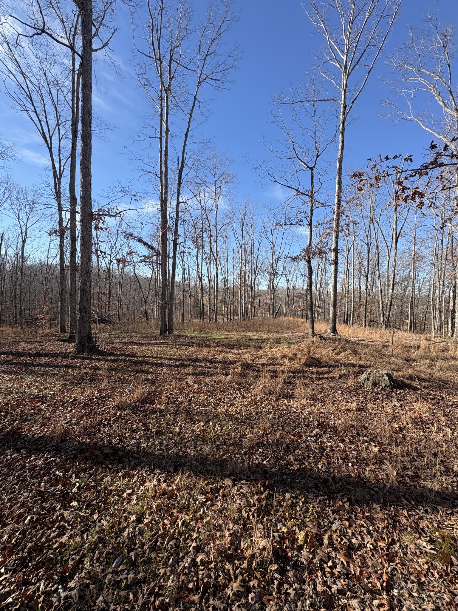 133 Shelton Cemetery Road