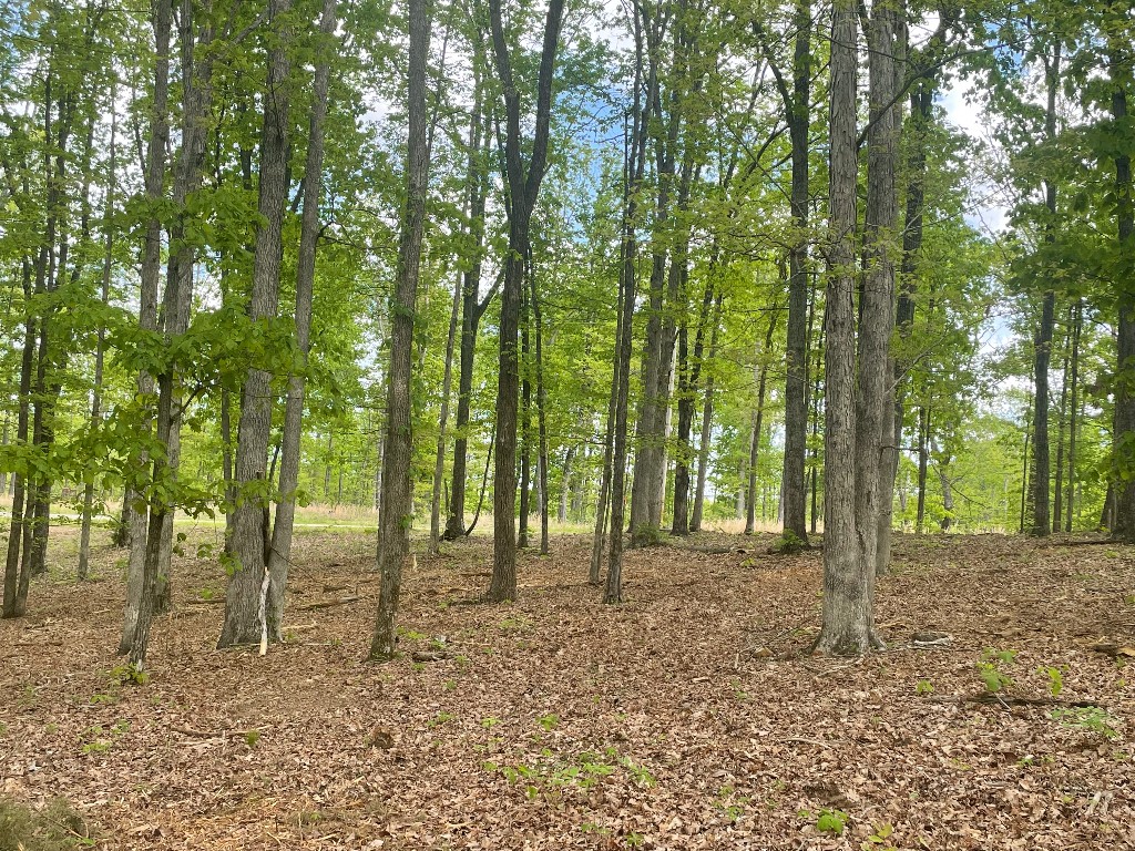 133 Shelton Cemetery Road