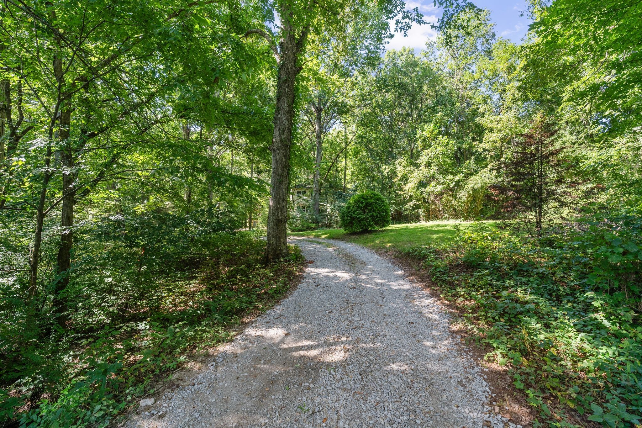 2504 Bearwallow Road