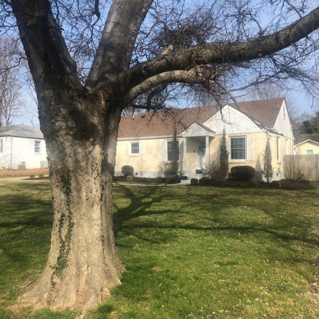 211 Cottage Ln