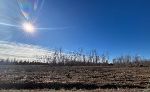 0 Brinkley Rd Wartrace TN 37183