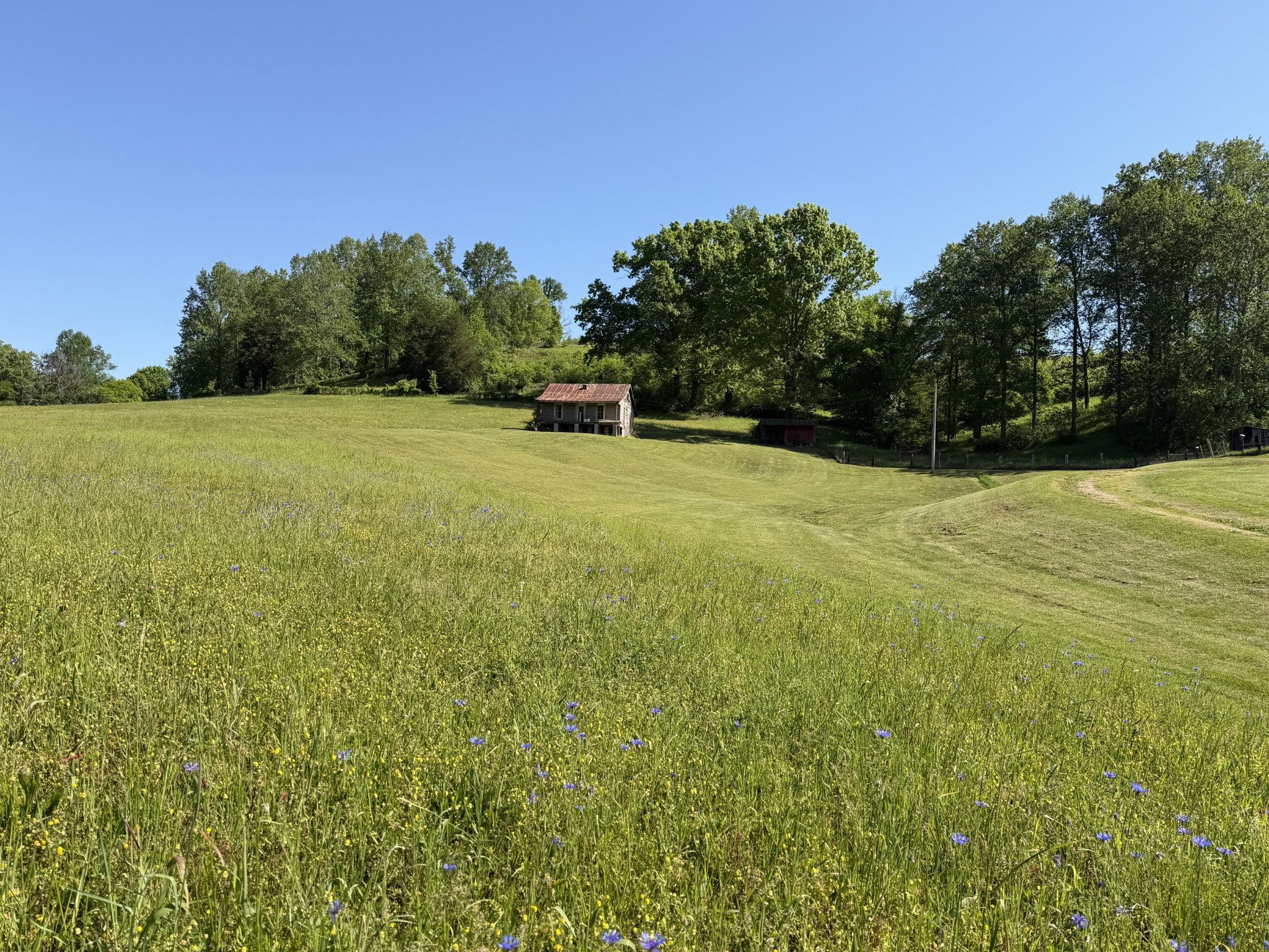 5170 Steam Mill Hollow Road Tract 2
