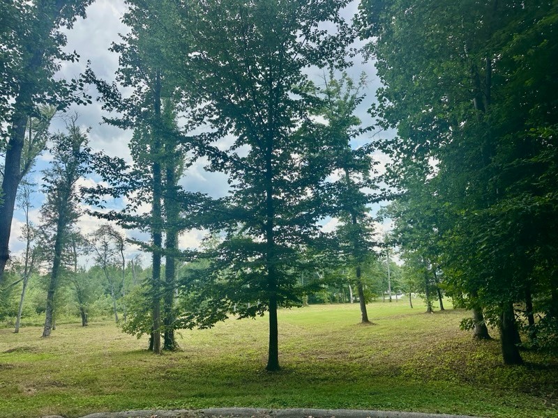 1365 Chattsworth Blvd