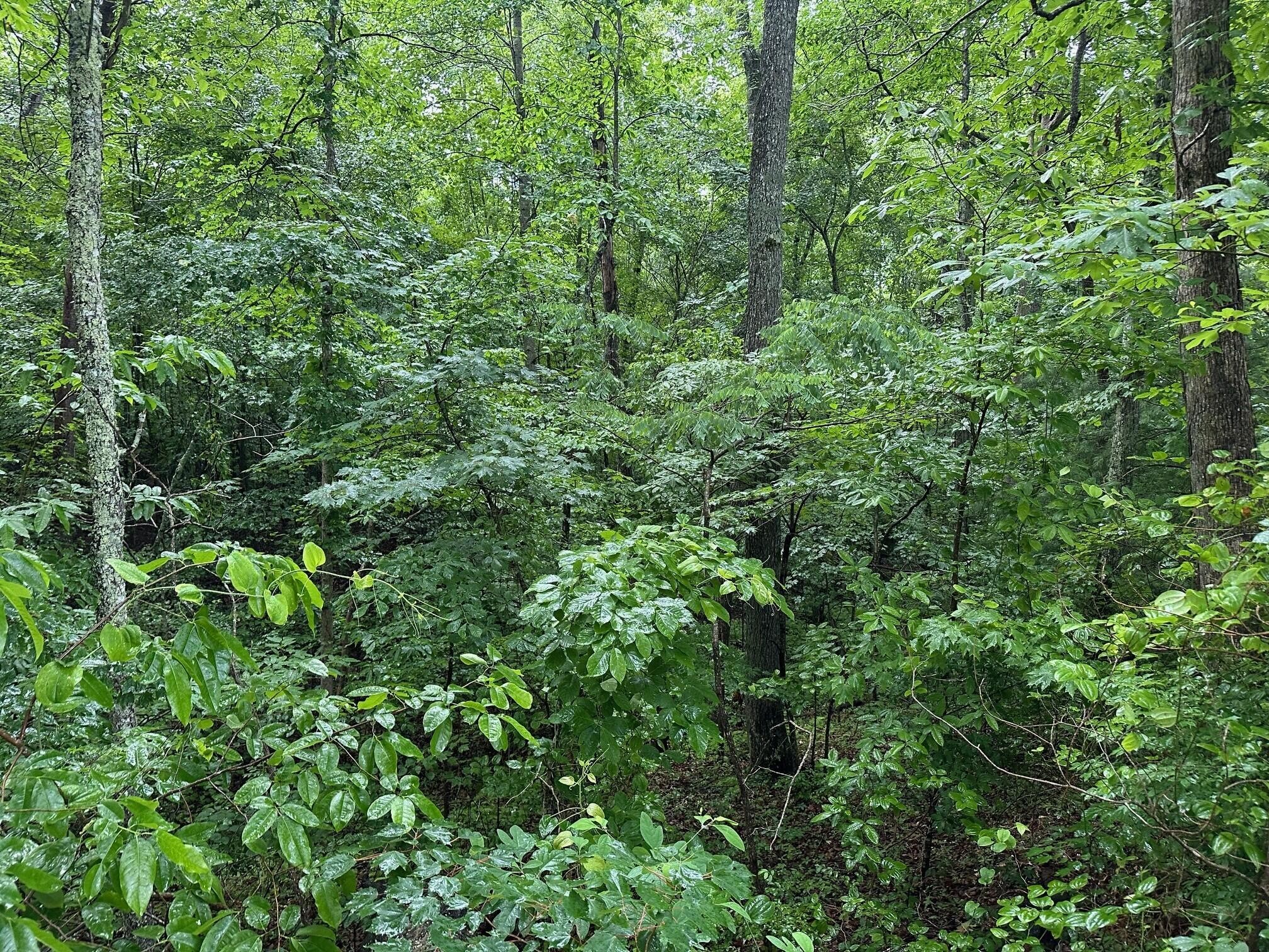 7 Saw Mill Road