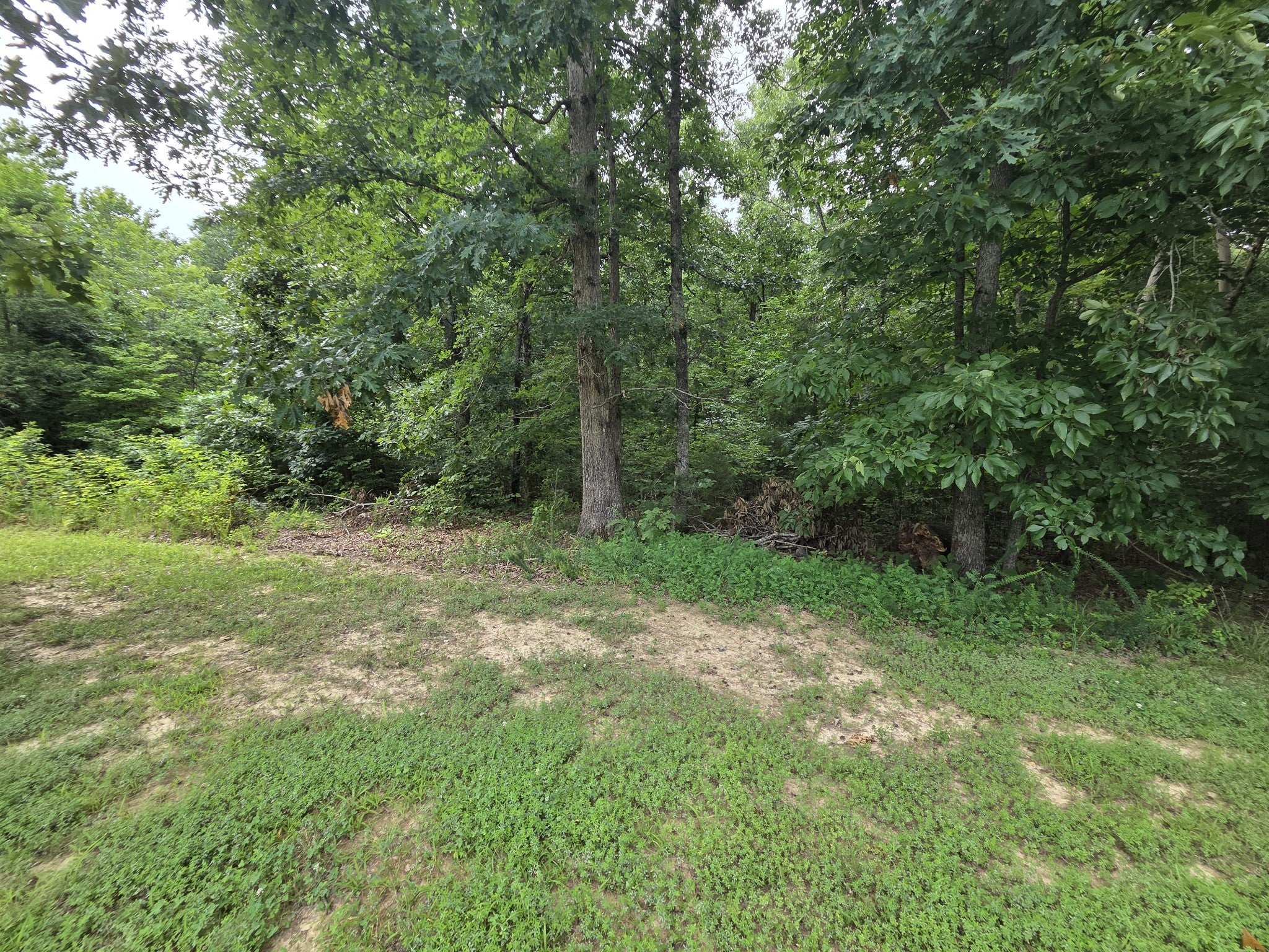 9326 Magnolia Way