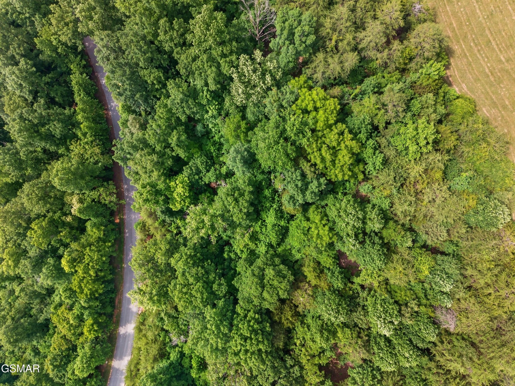 452 Silver Trail