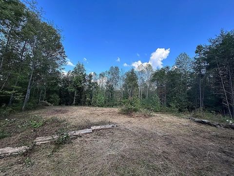 9100 Urubamba Dr Lyles TN 37098