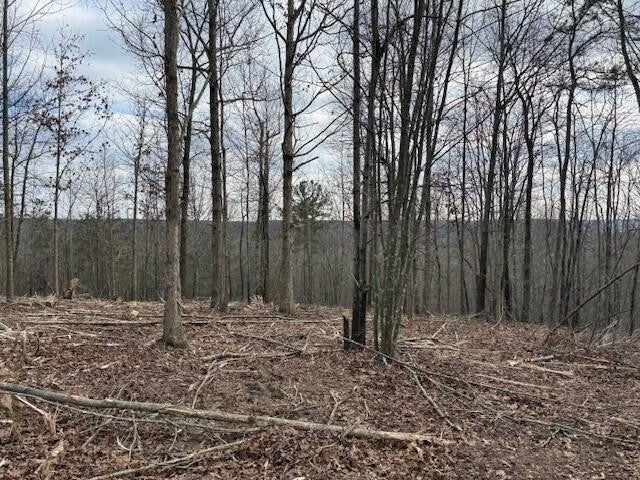 11 South Pittsburg Mountain Road