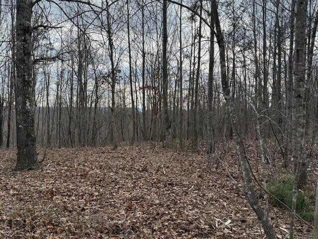 11 South Pittsburg Mountain Road