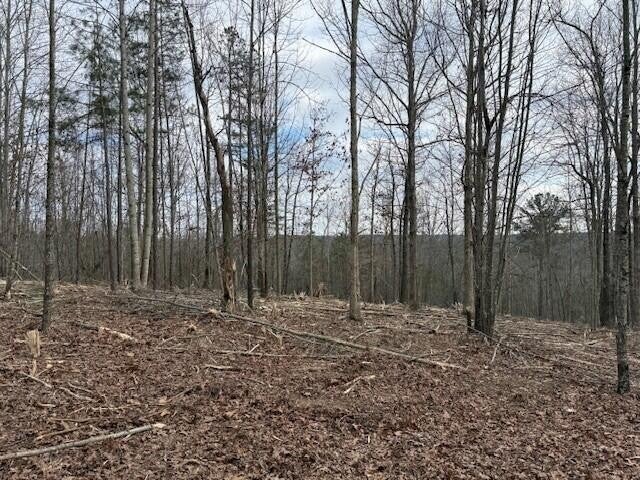 11 South Pittsburg Mountain Road