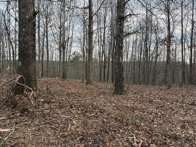 11 South Pittsburg Mountain Road