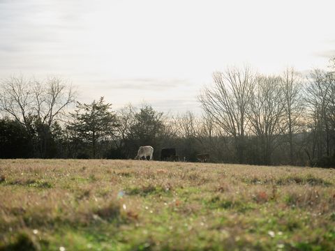 1462 Old Highway 99 Columbia TN 38401