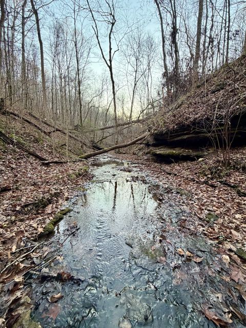 1 Sunnyside Dr Ashland City TN 37015