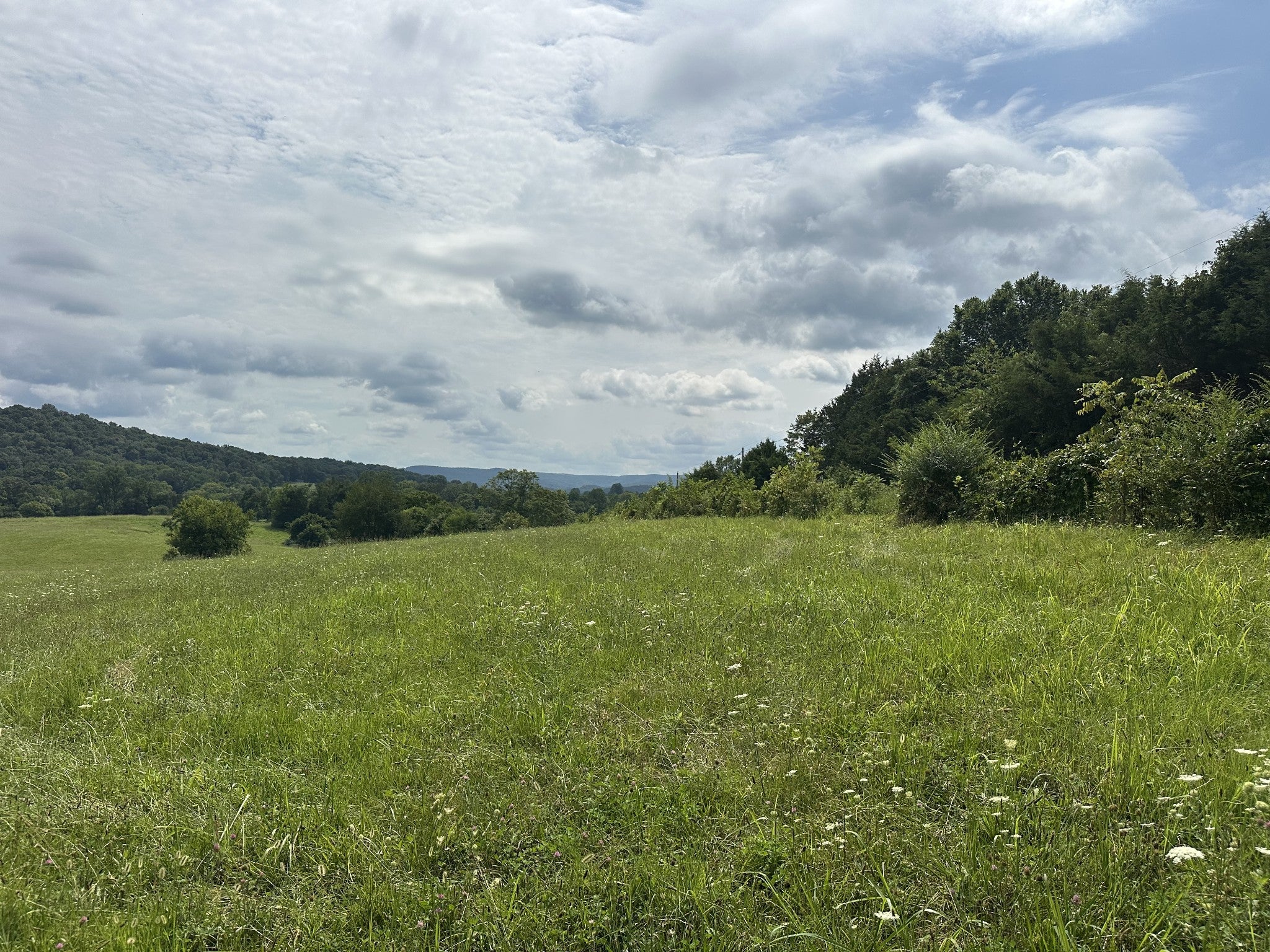 0 Plum Creek Rd