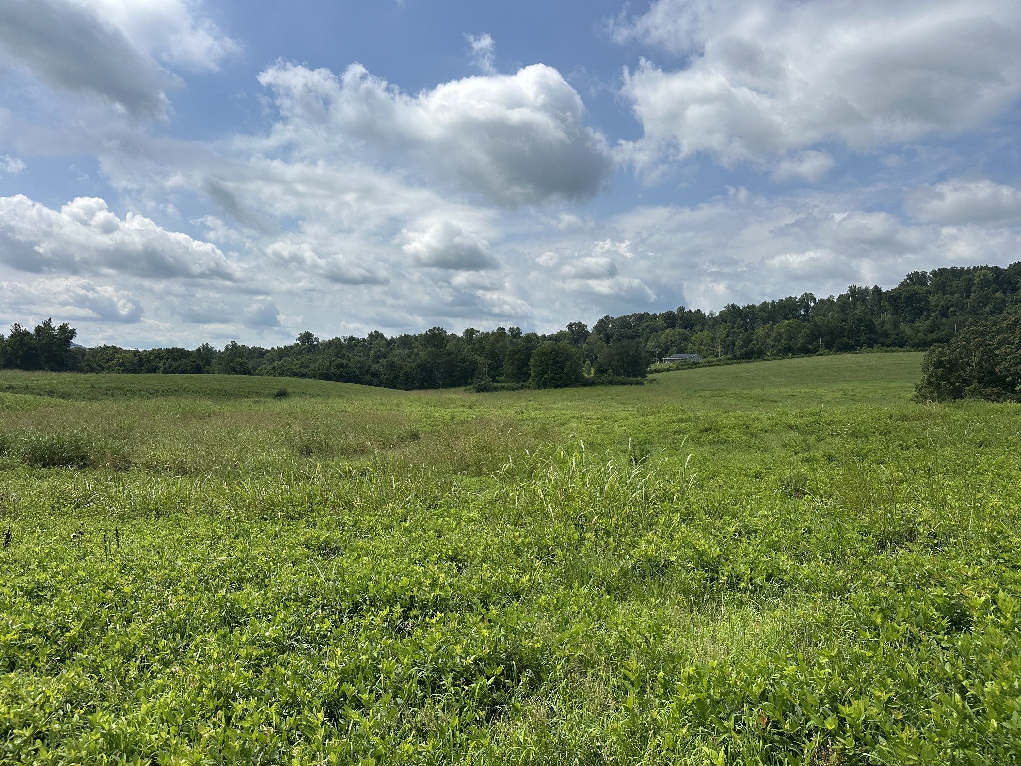 0 Plum Creek Rd
