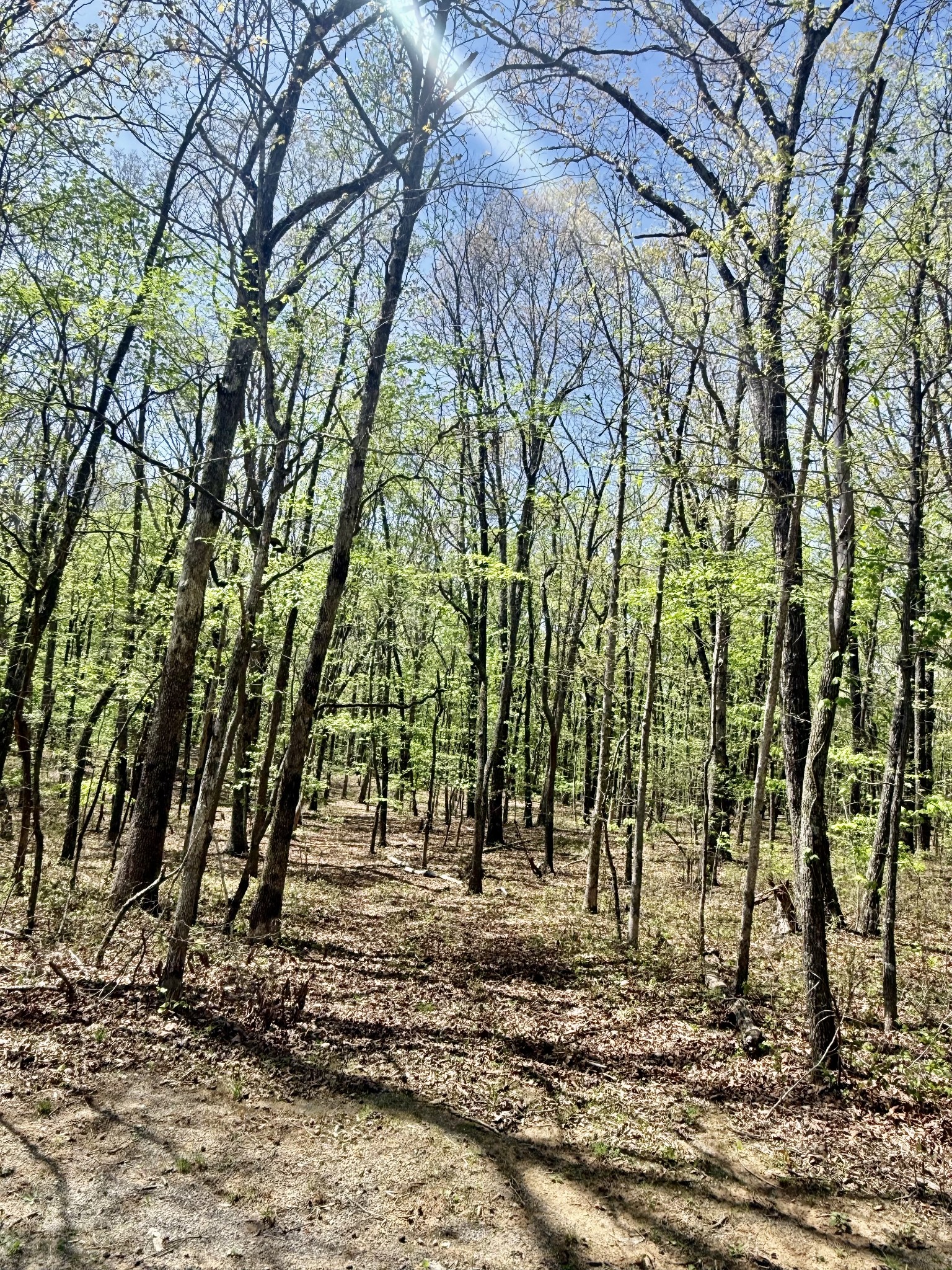 0 Timberwood Trace Lot 325 & 326