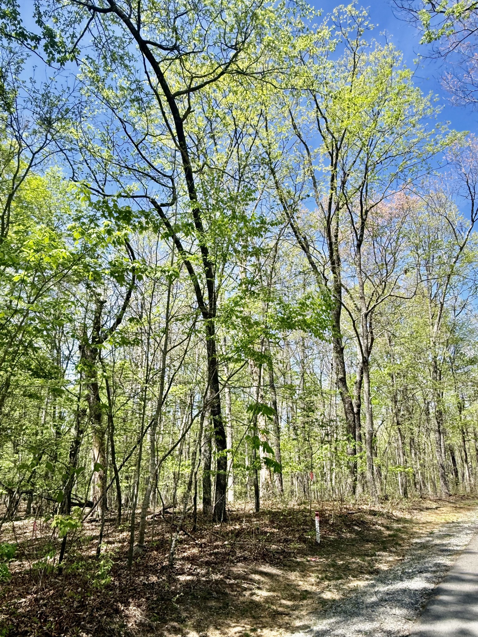 0 Timberwood Trace Lot 325 & 326