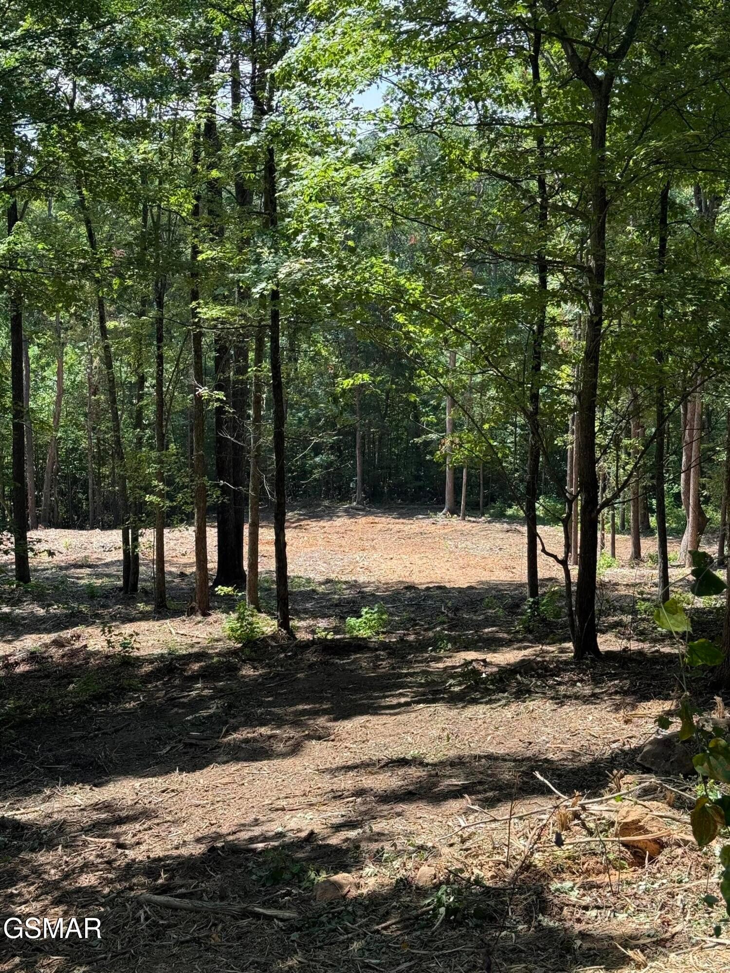 150 Mountaineer Trail