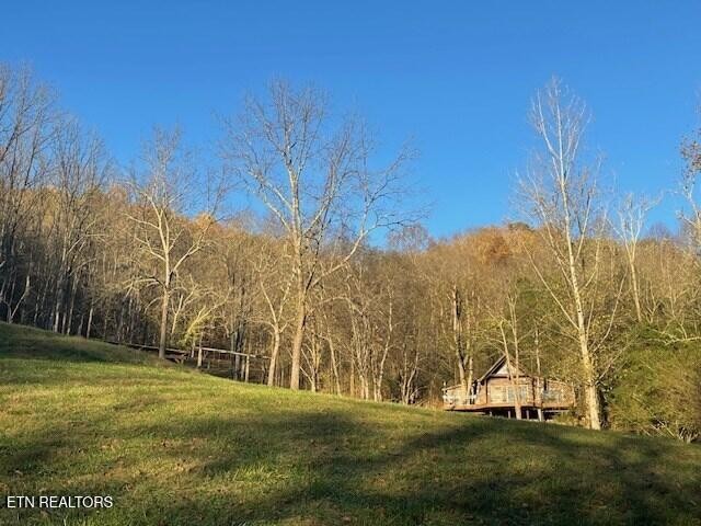 360 Spurlock Hollow Lane