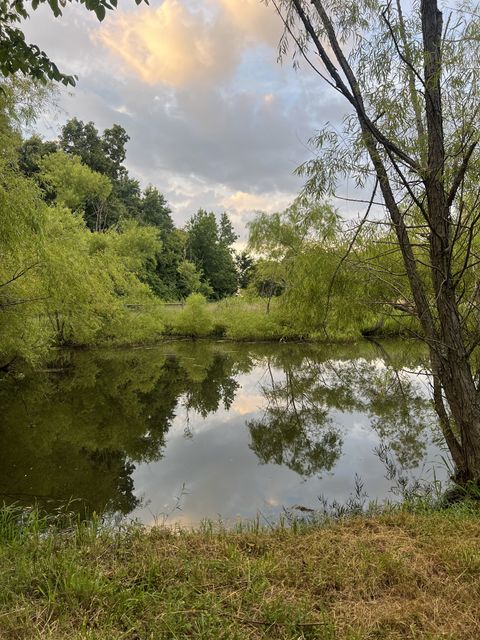 5670 Borthick Rd Springfield TN 37172