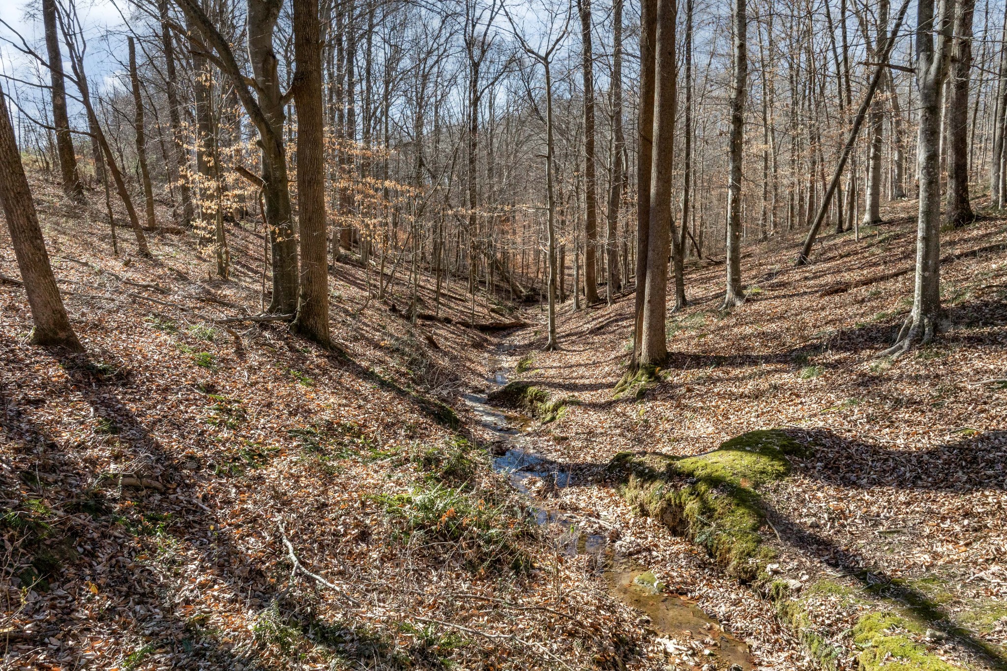 5675 Natchez Trace Rd