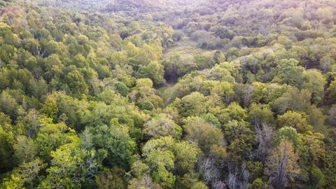 3 McBurg Dellrose Road Dellrose TN 38453