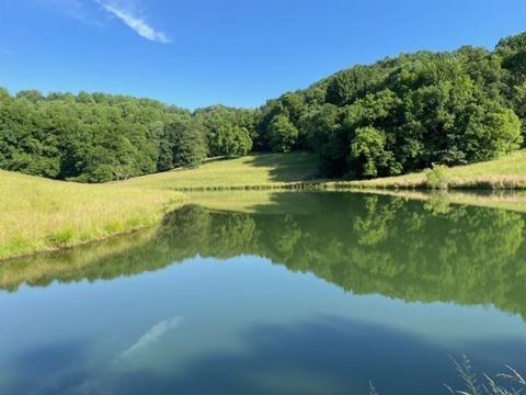 2244 Baptist Branch Rd Mount Pleasant TN 38474