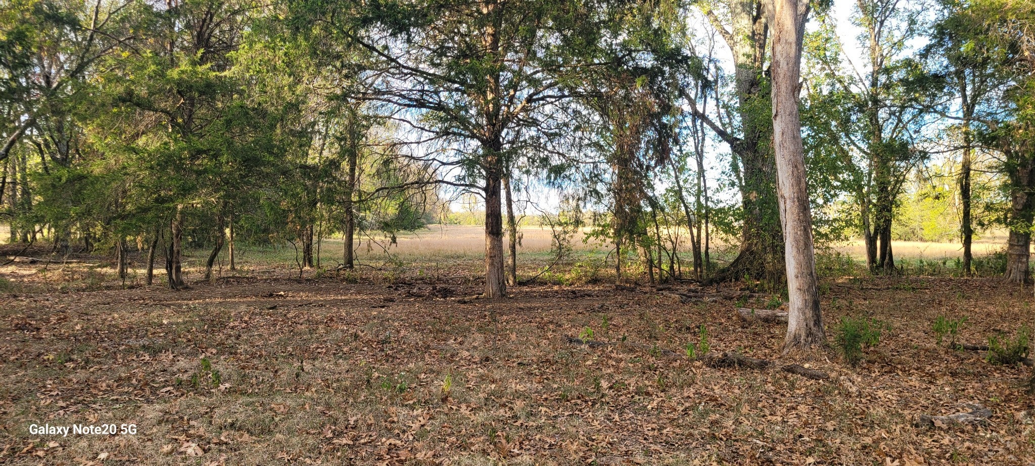 12 Beasley Rd