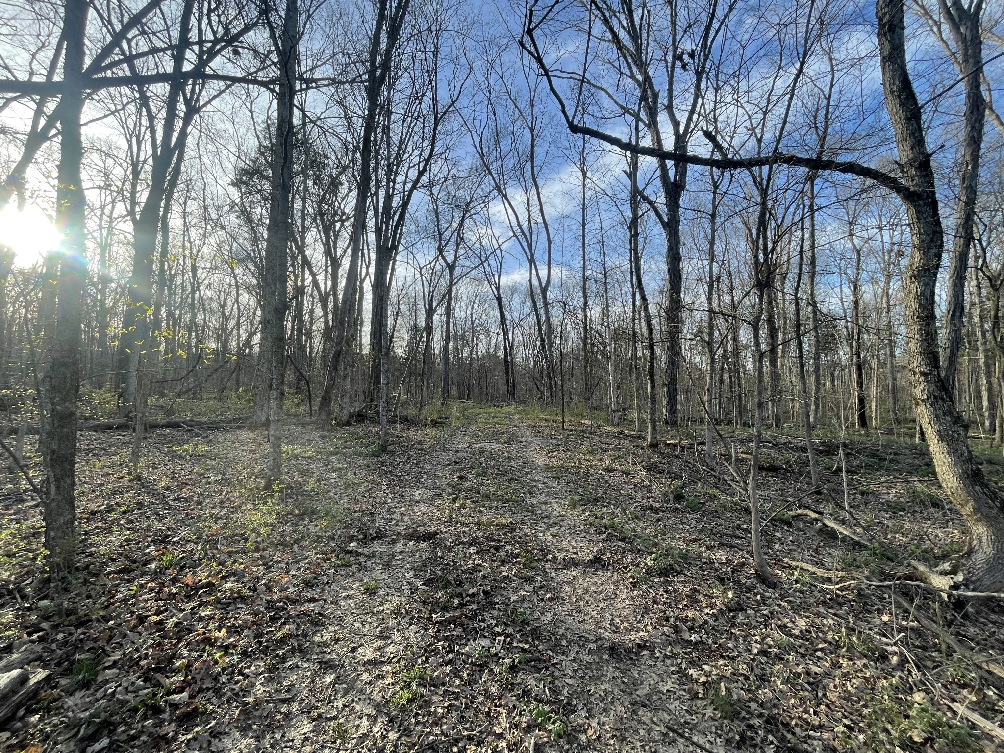 9290 Christiana Fosterville Rd