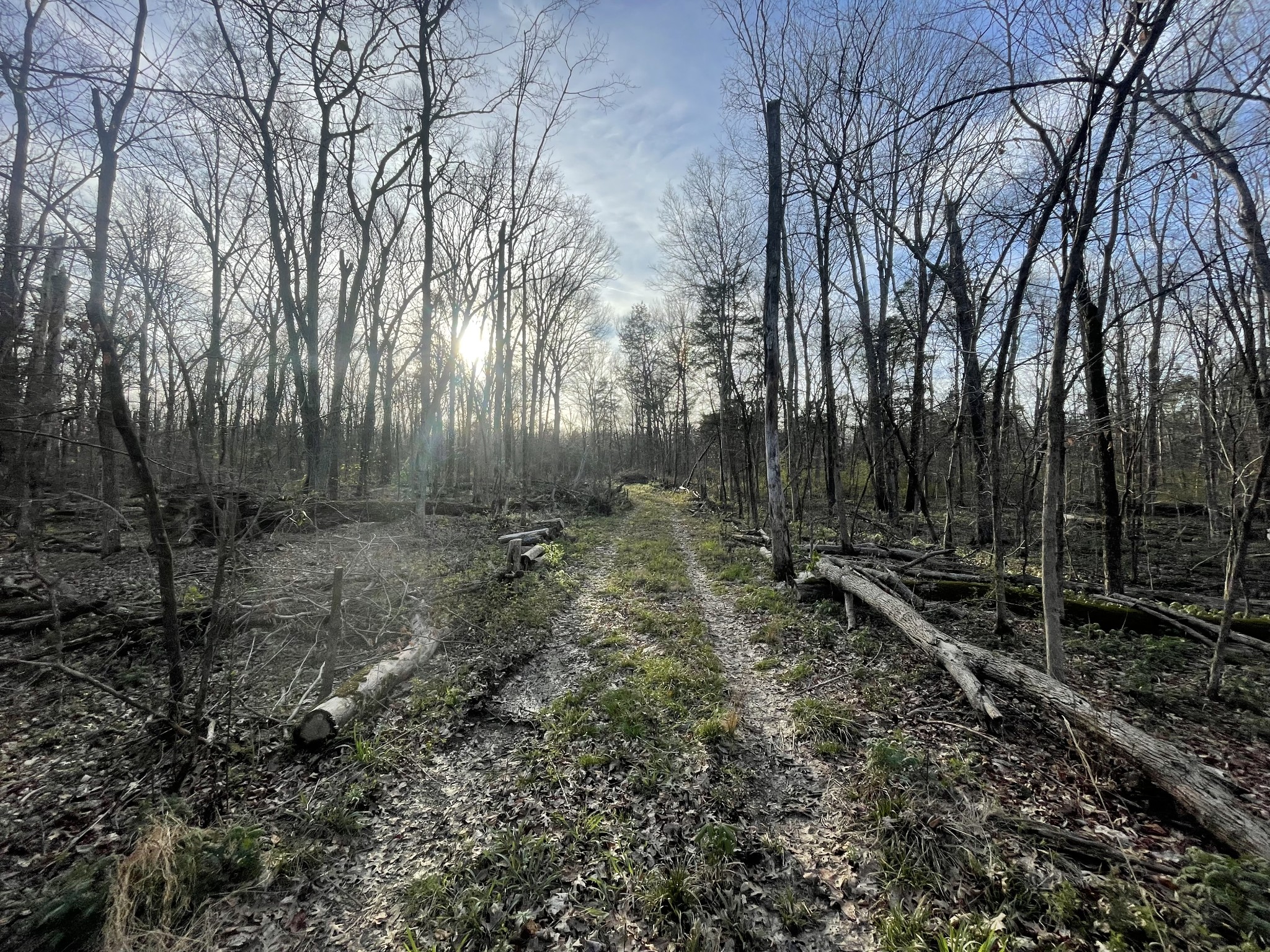 9290 Christiana Fosterville Rd