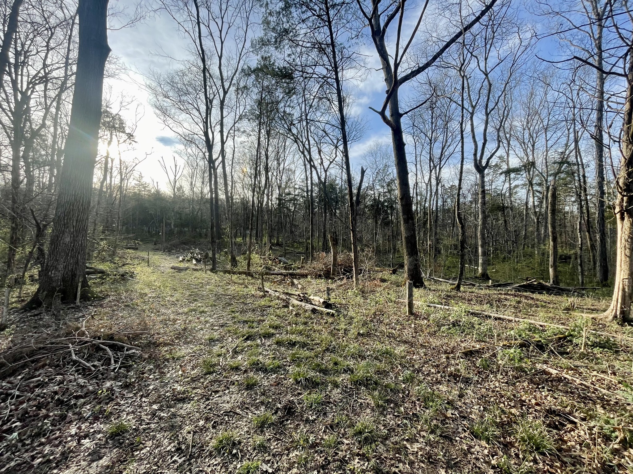 9290 Christiana Fosterville Rd