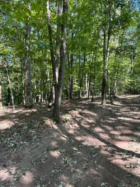 0 Rose Hill Rd Tracts 3 & 4