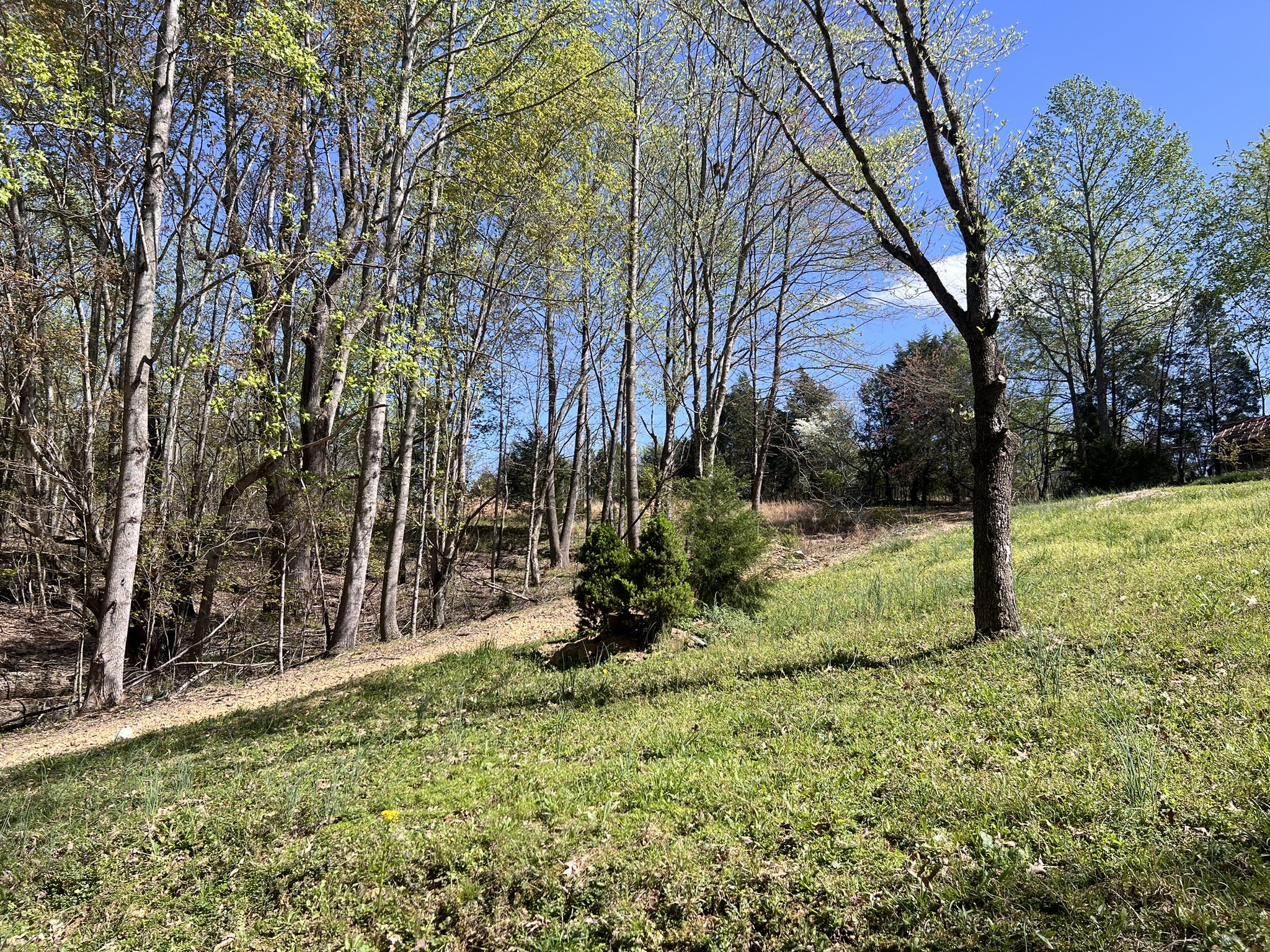 198 Brandy Hollow Ln