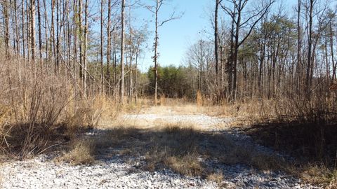 Photo of 0 Rolling Hills Dr, Spencer, TN 38585 (MLS # 3136653)
