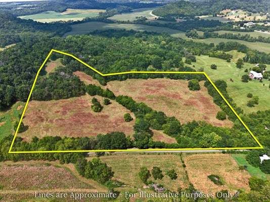 CHEATHAM RD, ARDMORE, TN 38449 - Image 75b05794feb8b8a756bd5bd36e0ee0c3/671790104