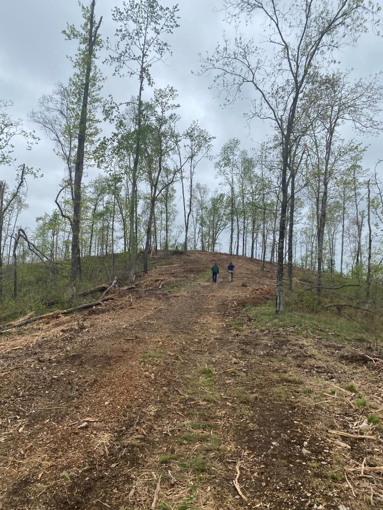 56 Ridge Top Rd