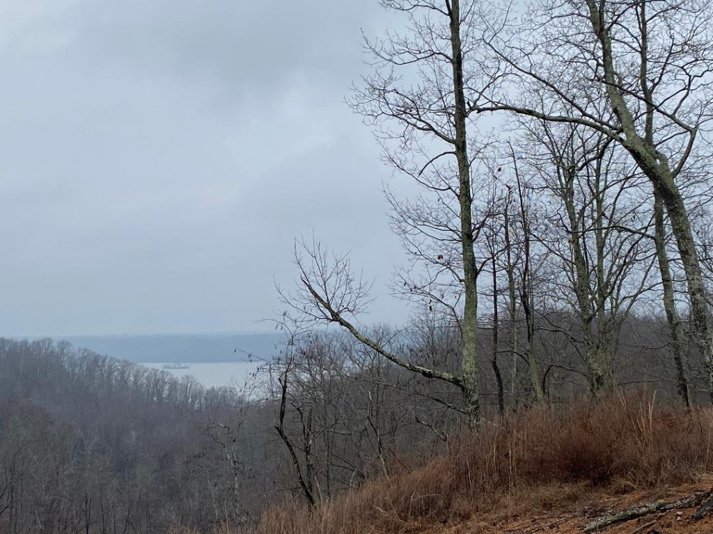 56 Ridge Top Rd