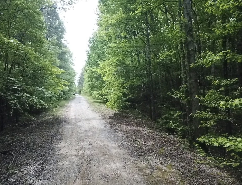 730 Wayne Smith Rd - Photo 4